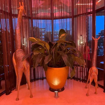 Royal View Appartement